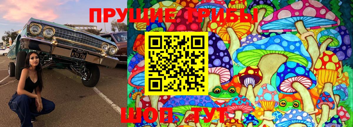 Псилоцибиновые грибы Cubensis Саяногорск