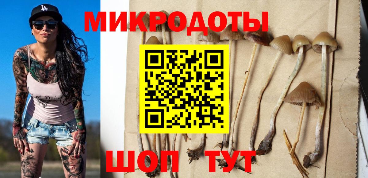 Саяногорск  Галлюциногенные грибы Magic Shrooms  Вход с VPN 